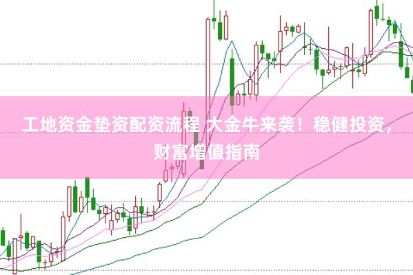 工地资金垫资配资流程 大金牛来袭！稳健投资，财富增值指南