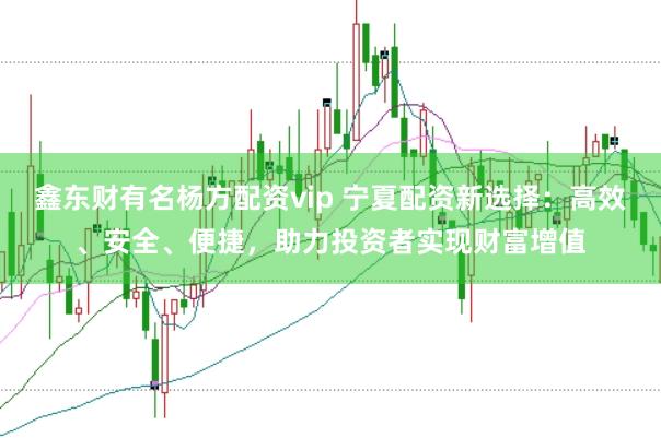 鑫东财有名杨方配资vip 宁夏配资新选择：高效、安全、便捷，助力投资者实现财富增值