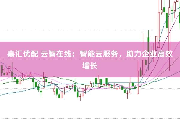 嘉汇优配 云智在线：智能云服务，助力企业高效增长