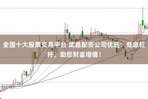 全国十大股票交易平台 武昌配资公司优选：低息杠杆，助您财富增值！