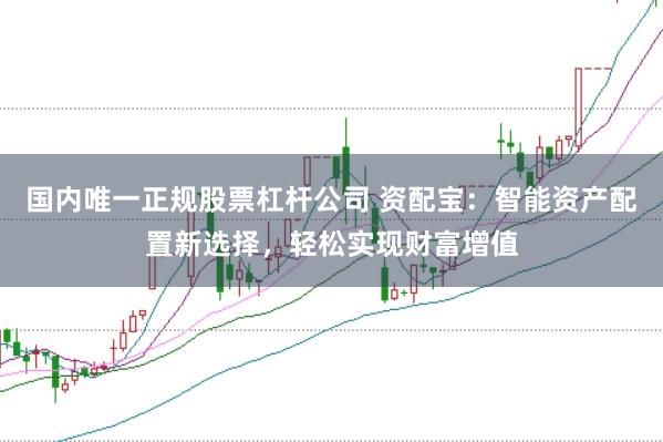 国内唯一正规股票杠杆公司 资配宝：智能资产配置新选择，轻松实现财富增值