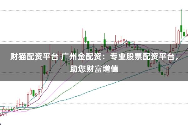 财猫配资平台 广州金配资：专业股票配资平台，助您财富增值