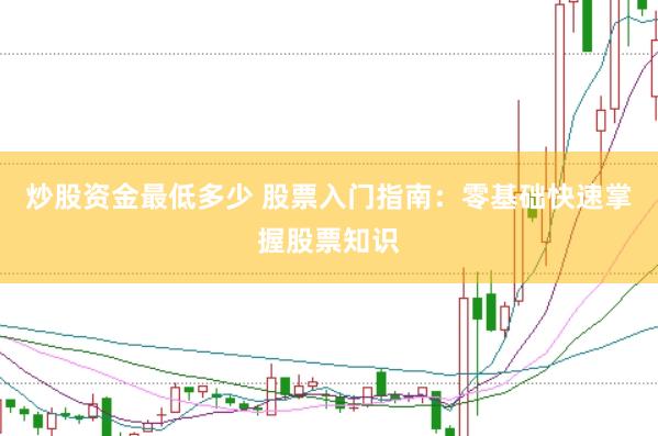 炒股资金最低多少 股票入门指南：零基础快速掌握股票知识