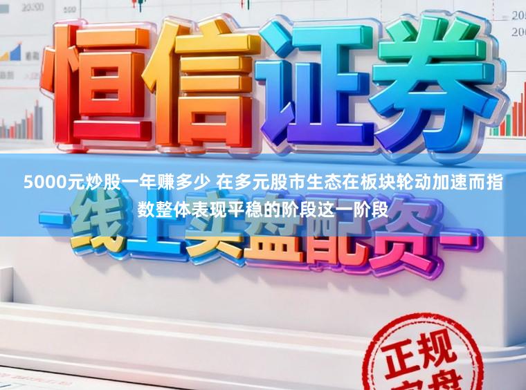 5000元炒股一年赚多少 在多元股市生态在板块轮动加速而指数整体表现平稳的阶段这一阶段