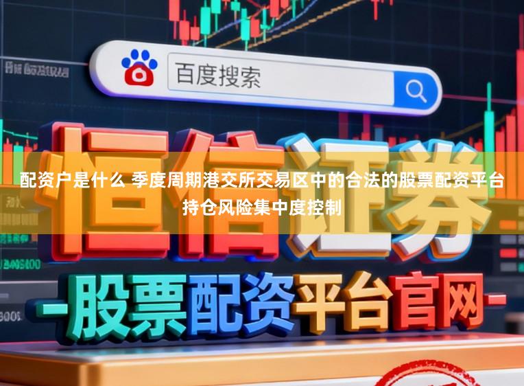 配资户是什么 季度周期港交所交易区中的合法的股票配资平台持仓风险集中度控制
